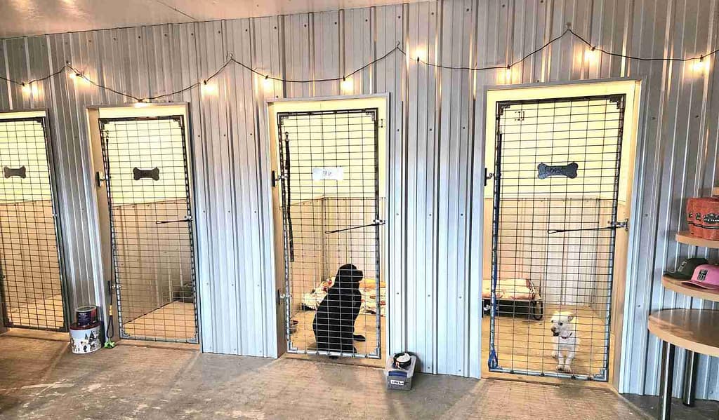 Indoor Suites