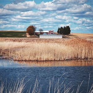 cloudy day farm