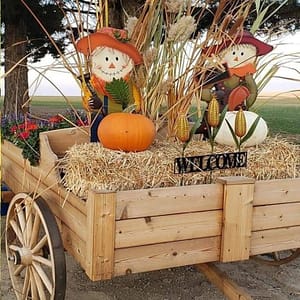 fall decoration