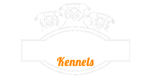 Transparent Logo 1